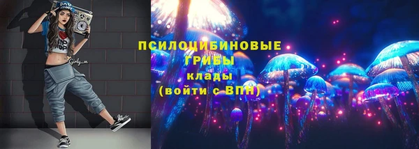 круглые Снежногорск