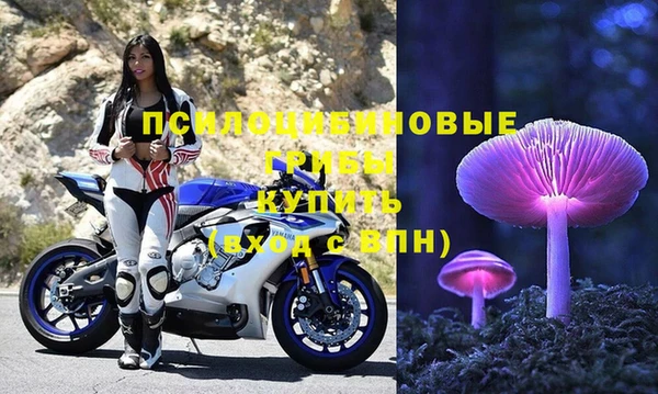 круглые Снежногорск