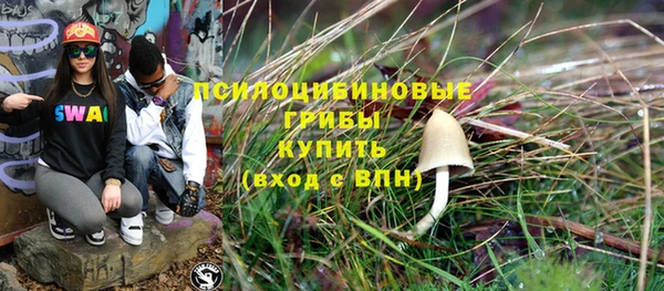 круглые Снежногорск
