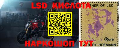 индика Можайск