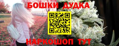 индика Можайск