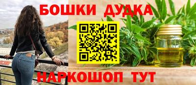 индика Можайск