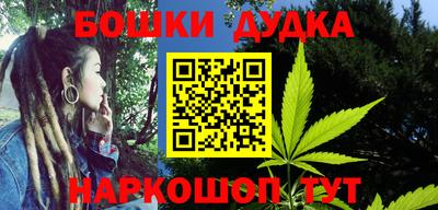 индика Можайск