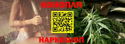 индика Можайск