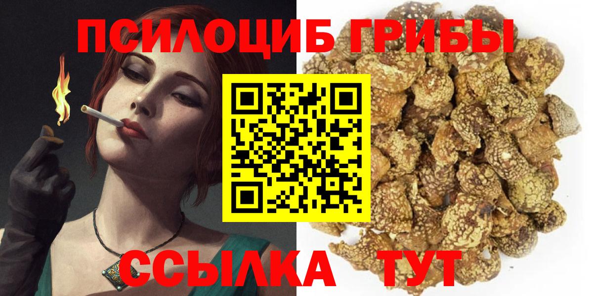 Псилоцибиновые грибы GOLDEN TEACHER Слободской